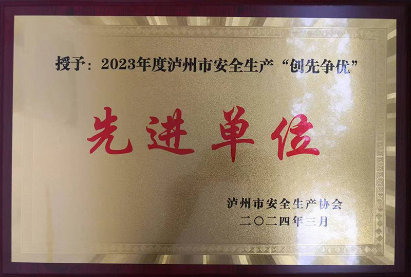 2023年度泸州市安全生产“创先争优”先进单位(图1)